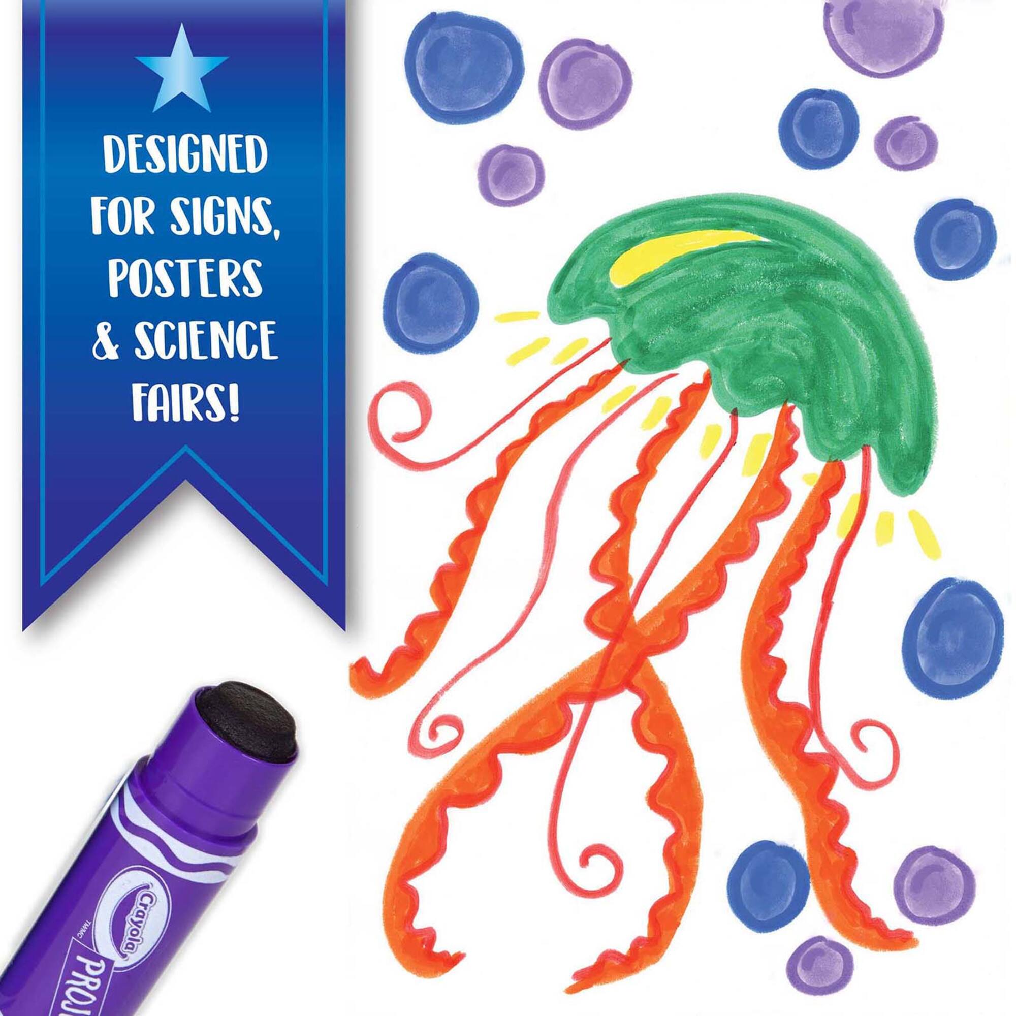 Crayola® Project™ Quick-Dry Paint Sticks, 6 Packs of 6